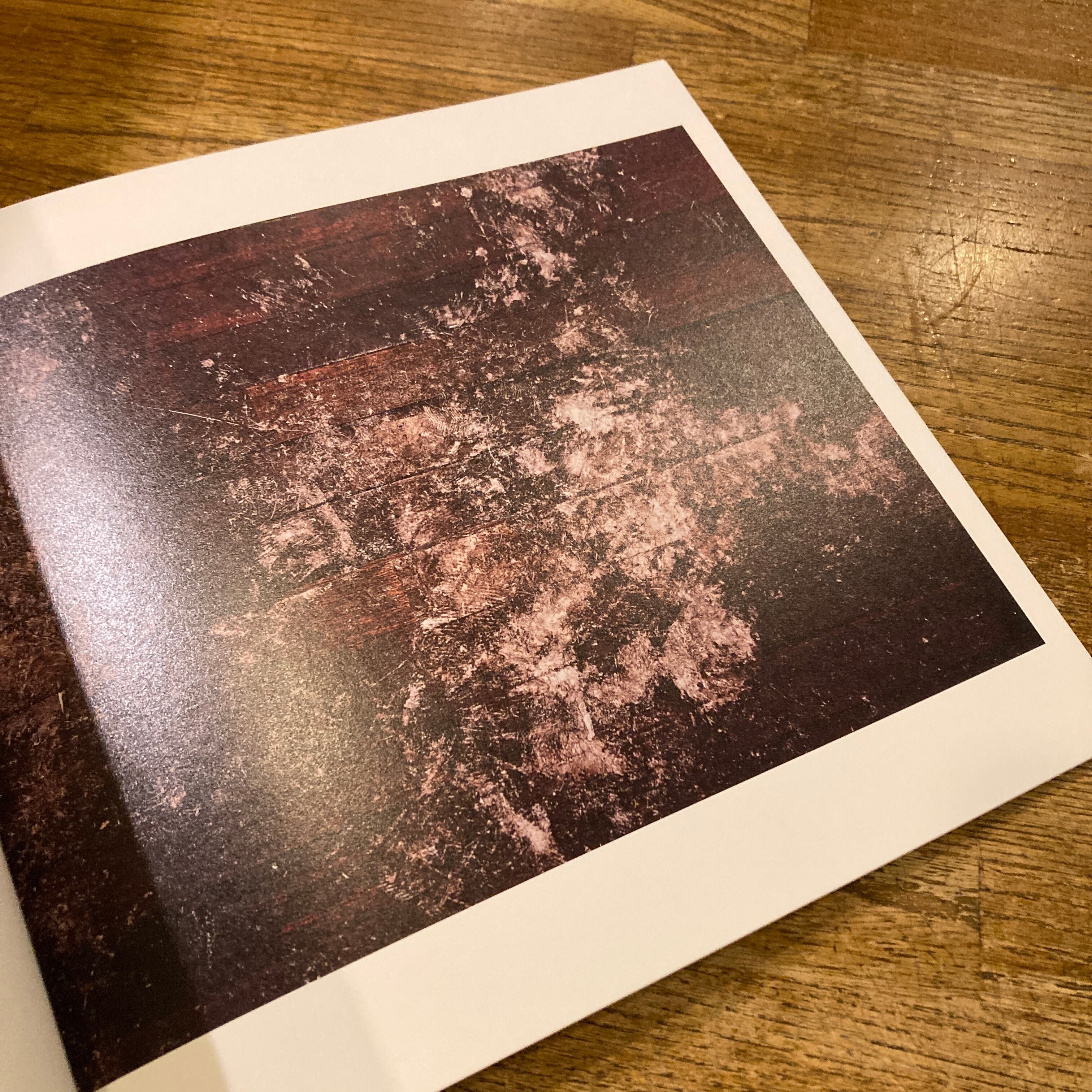ground / yusuke yamatani 山谷佑介 | 百年