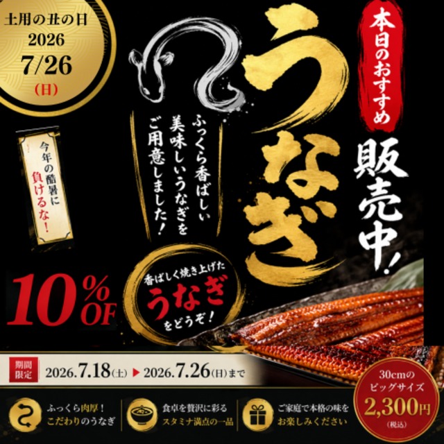 （静岡産）うなぎ長焼き　大きいサイズ!!　
