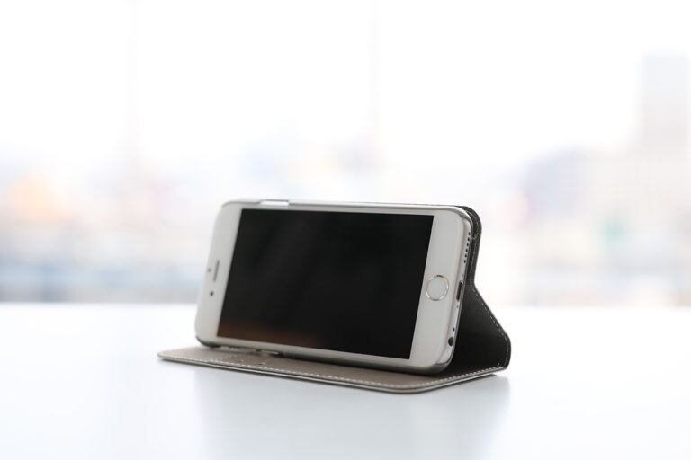 送料無料】HANA circus original iPhone6〜XS ベルトなし（帯なし