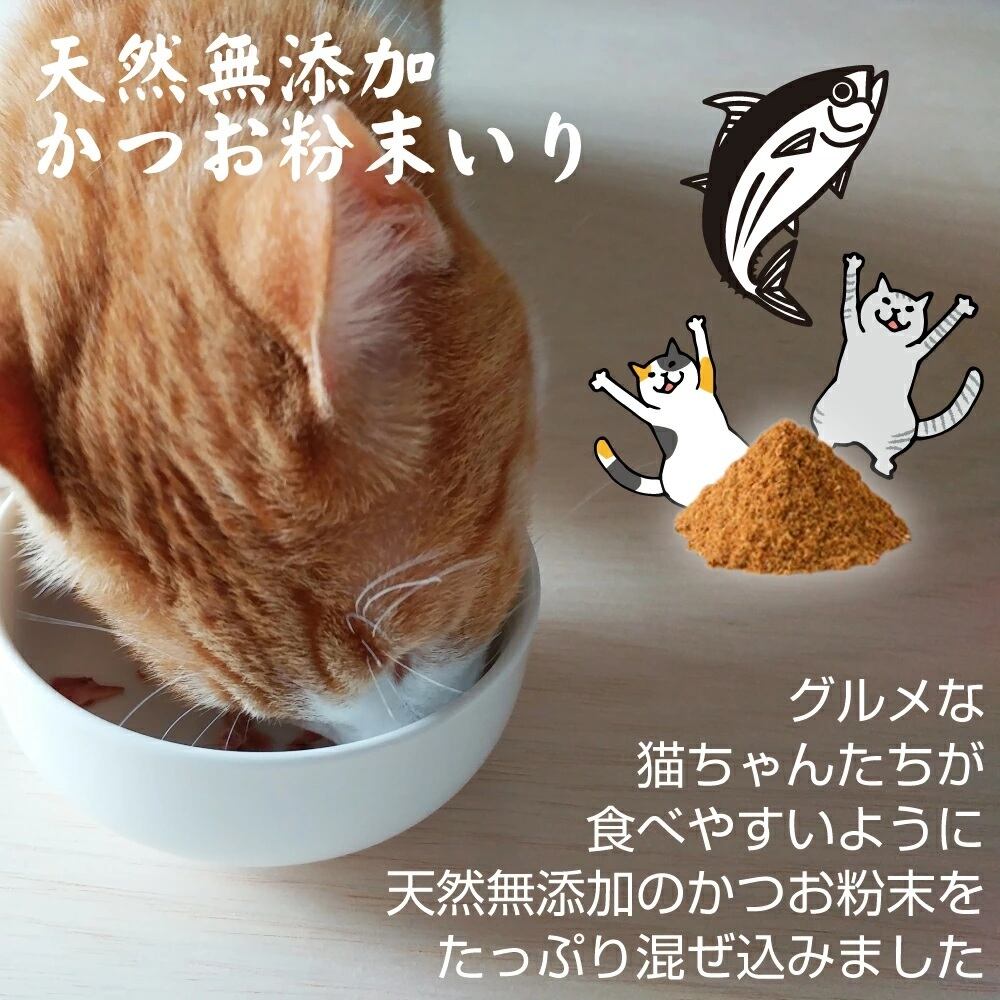 ネコ用 腸内環境 サプリメント 腸活キャット 45g | BUDDYPET
