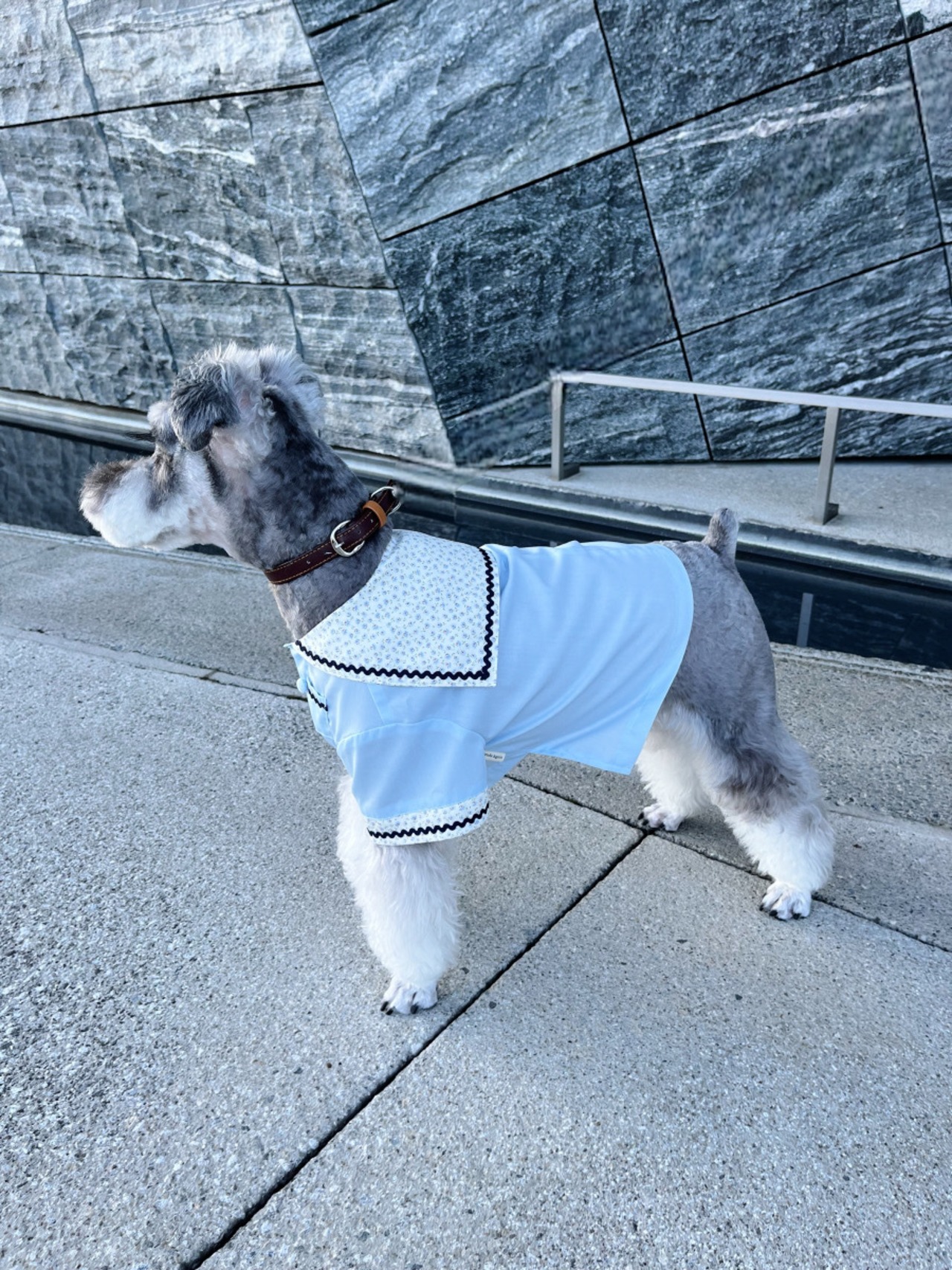 Teen Sailor Shirt（Flower）