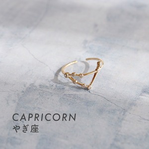 RING || 【通常商品】 CAPRICORN RING || 1 RING || GOLD || FBB034