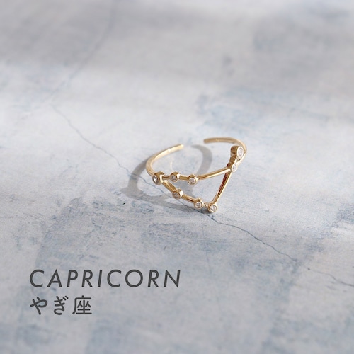 RING || 【通常商品】 CAPRICORN RING || 1 RING || GOLD || FBB034