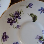 B_Hammersley Victorian Violets|ハマースレイ ヴィクトリアンバイオレット 優雅なすみれ柄 トリオ カップ&ソーサー thumbnail 14
