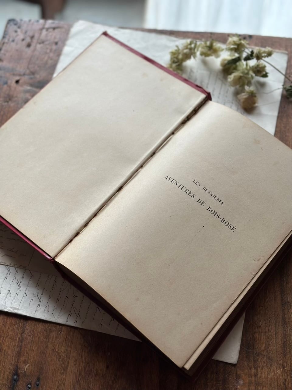 19世紀末 赤い装丁の古書 | Brocante de La Cocotte （フランス