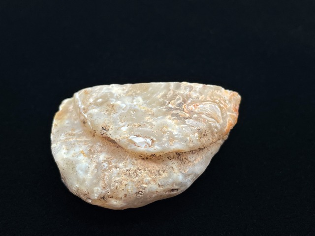 オープンジオード