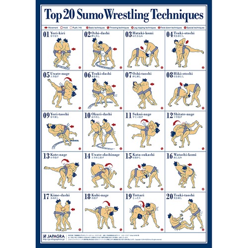Infographic Poster featuring the Top 20 Sumo wrestling techniques.