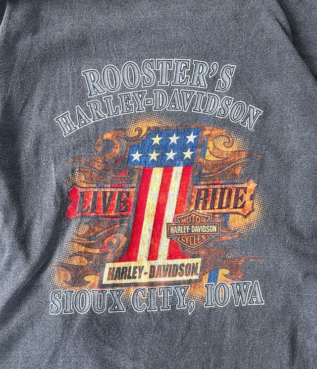 -Harley Davidson- Vintage 90s L Long Sleeve Print T-shirt