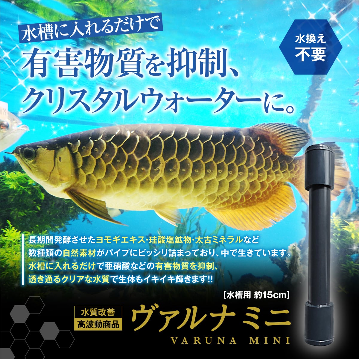 水槽の水が綺麗になります【ヴァルナミニ】有害物質を強力抑制し透明度