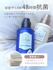 ラボン(Lavons) 柔軟剤入り 液体 洗濯洗剤 ラグジュアリーリラックス [アンバーウッディ] 850g