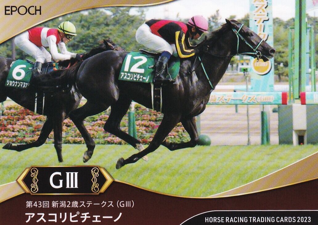 フジキセキ：第46回 朝日杯3歳ステークス(金文字仕様)「THE GRADE ONE