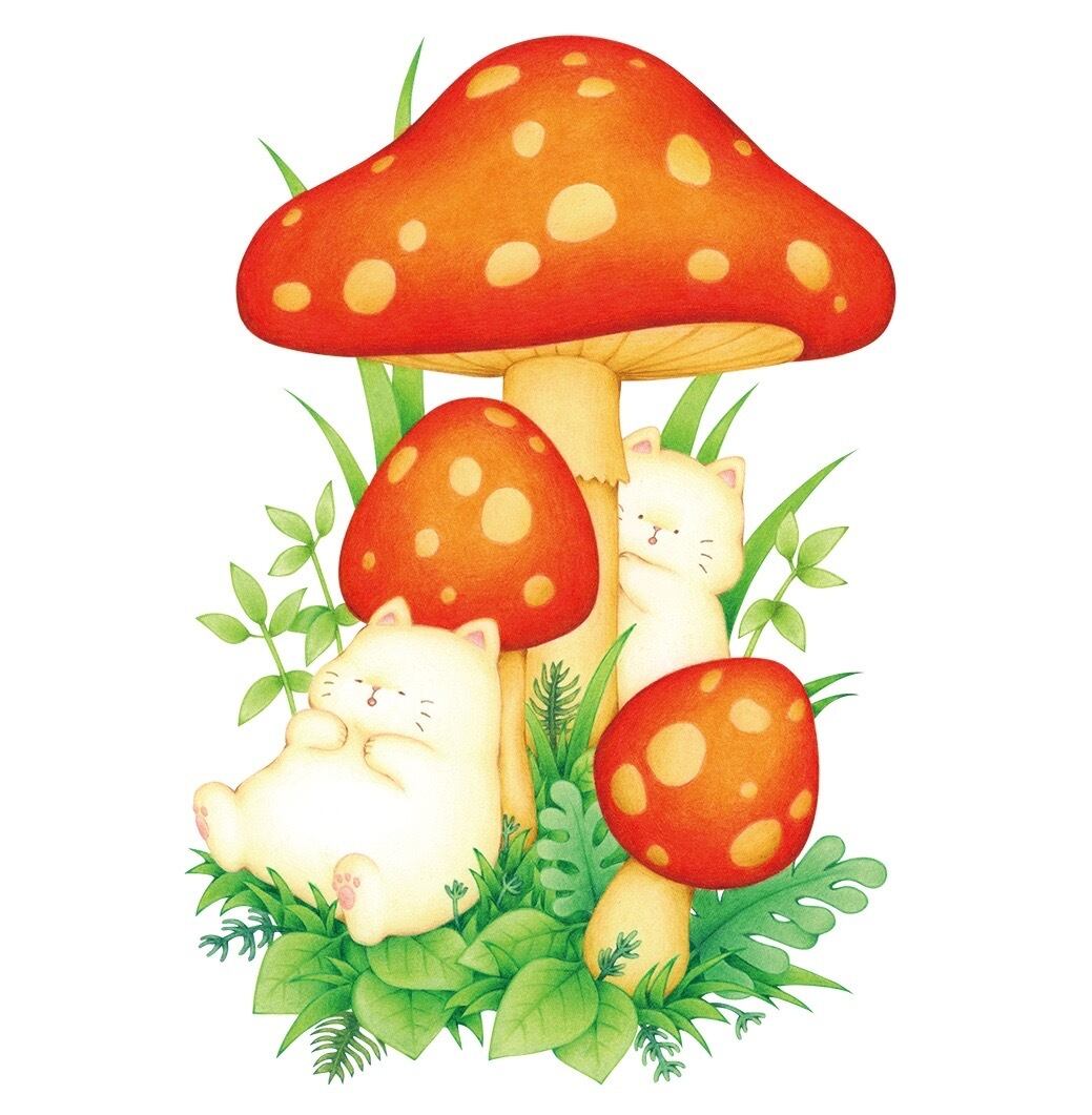 きのこの森 Tシャツ | Coil