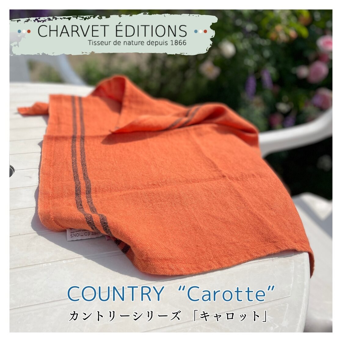 トルション シャルべエディション フランス製【COUNTRY・CAROTTE 