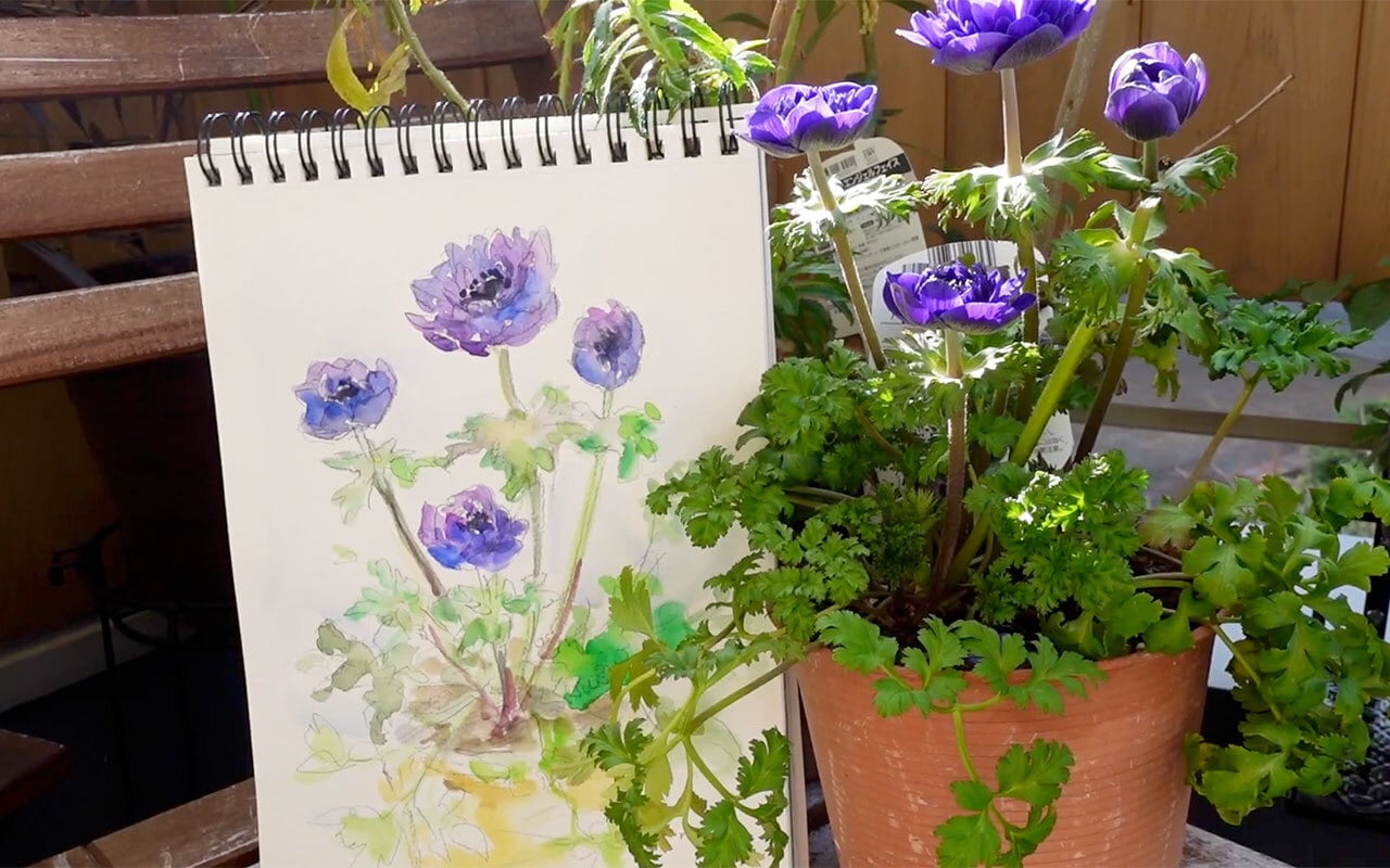 日常で楽しむ水彩画】アネモネの花 | necoya room shop