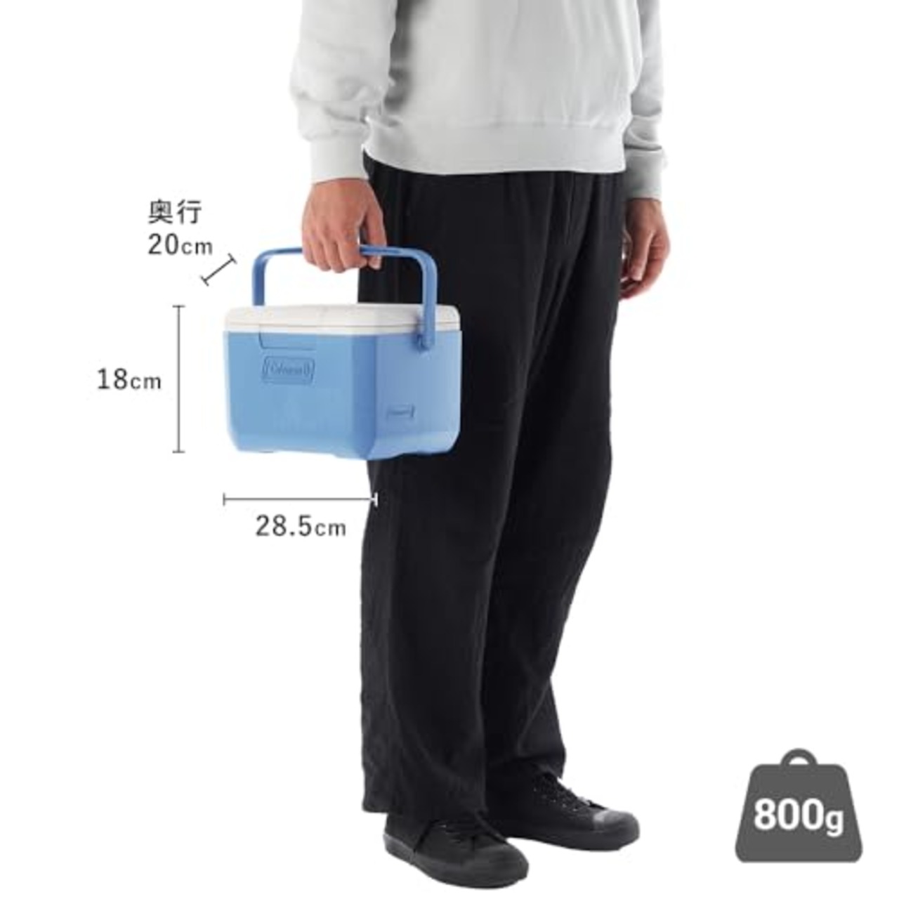 コールマン(Coleman)クーラボックス テイク６（デイドリーム）釣り 運動会 お花見 部活 弁当 飲み物 買い物 キャンプ アウトドア 強力保冷 頑丈 暑さ対策