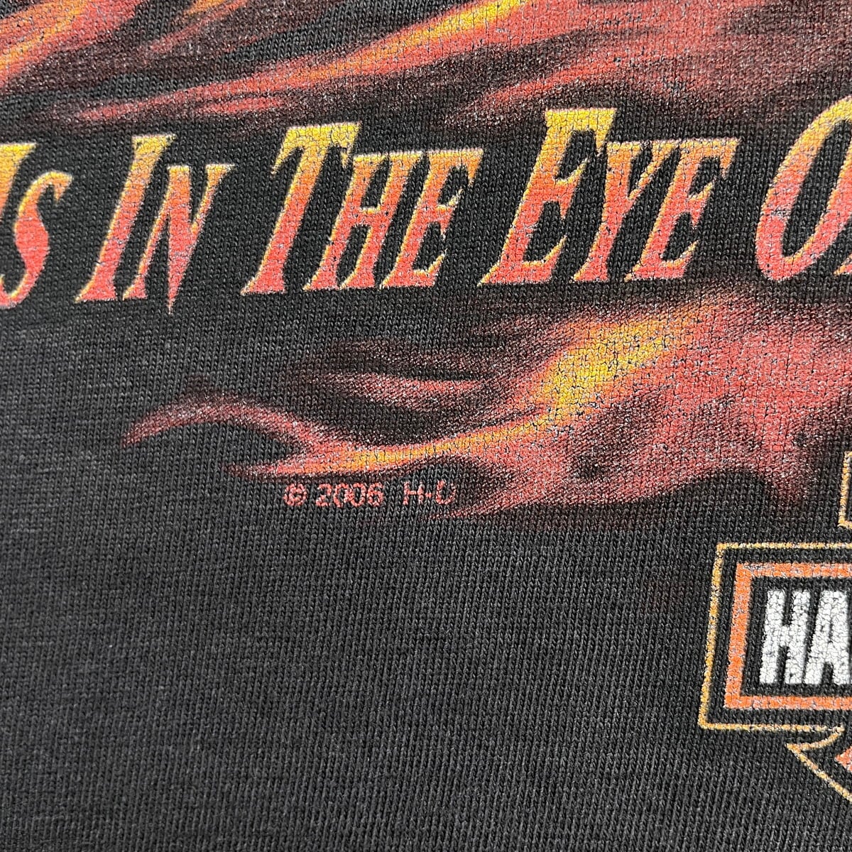 00年代 HARLEY-DAVIDSON ハーレーダビッドソン イーグル ファイヤー