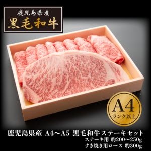 【送料無料】鹿児島県産 A4～A5黒毛和牛ステーキセット 約500g（冷凍）