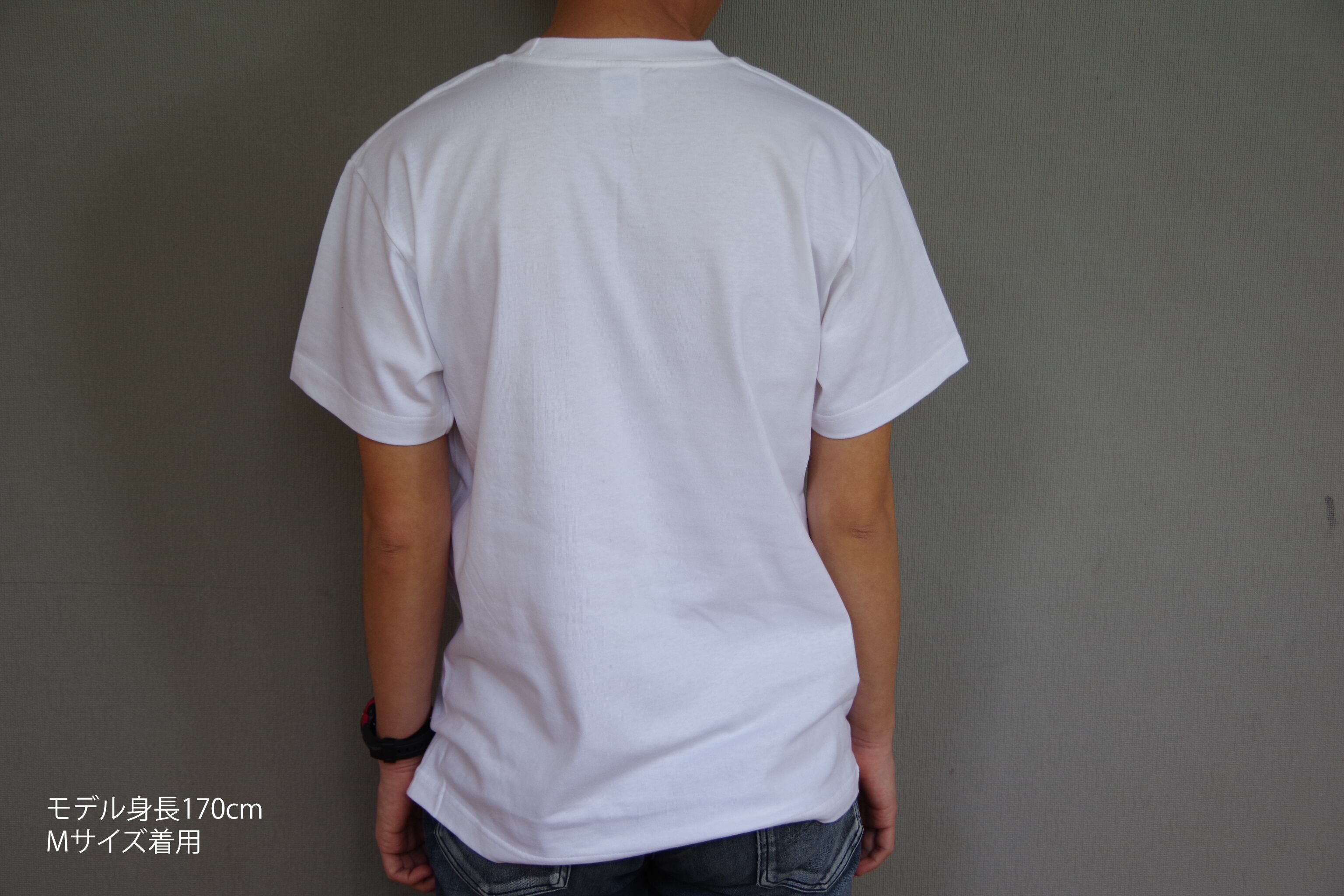 たて6種-益子Tシャツ002 | 益子Tシャツ公式オンラインショップ