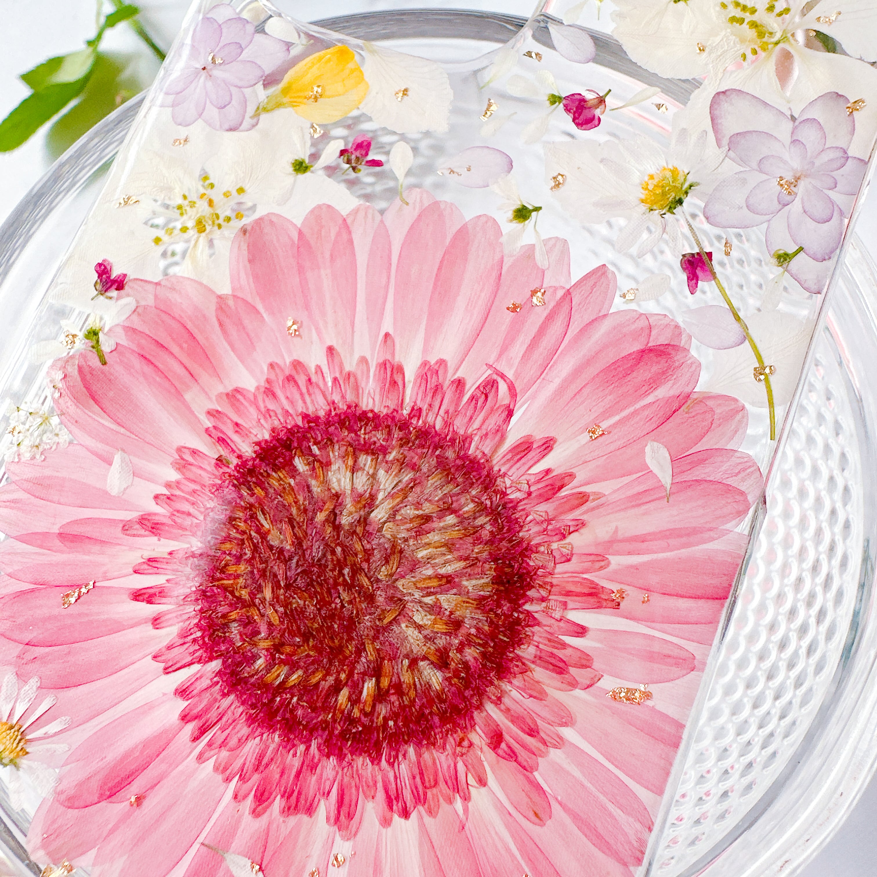 Pink Gerbera-ガーベラ- | Hana+