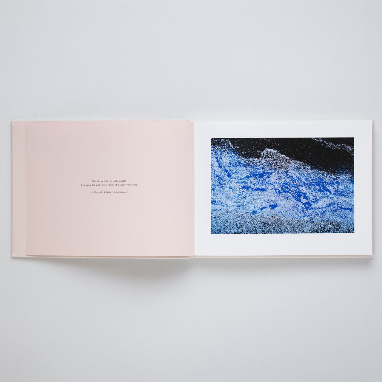 蜷川実花：VIRA【表紙：SKY Edition】☆著者サイン入り | bookshop M