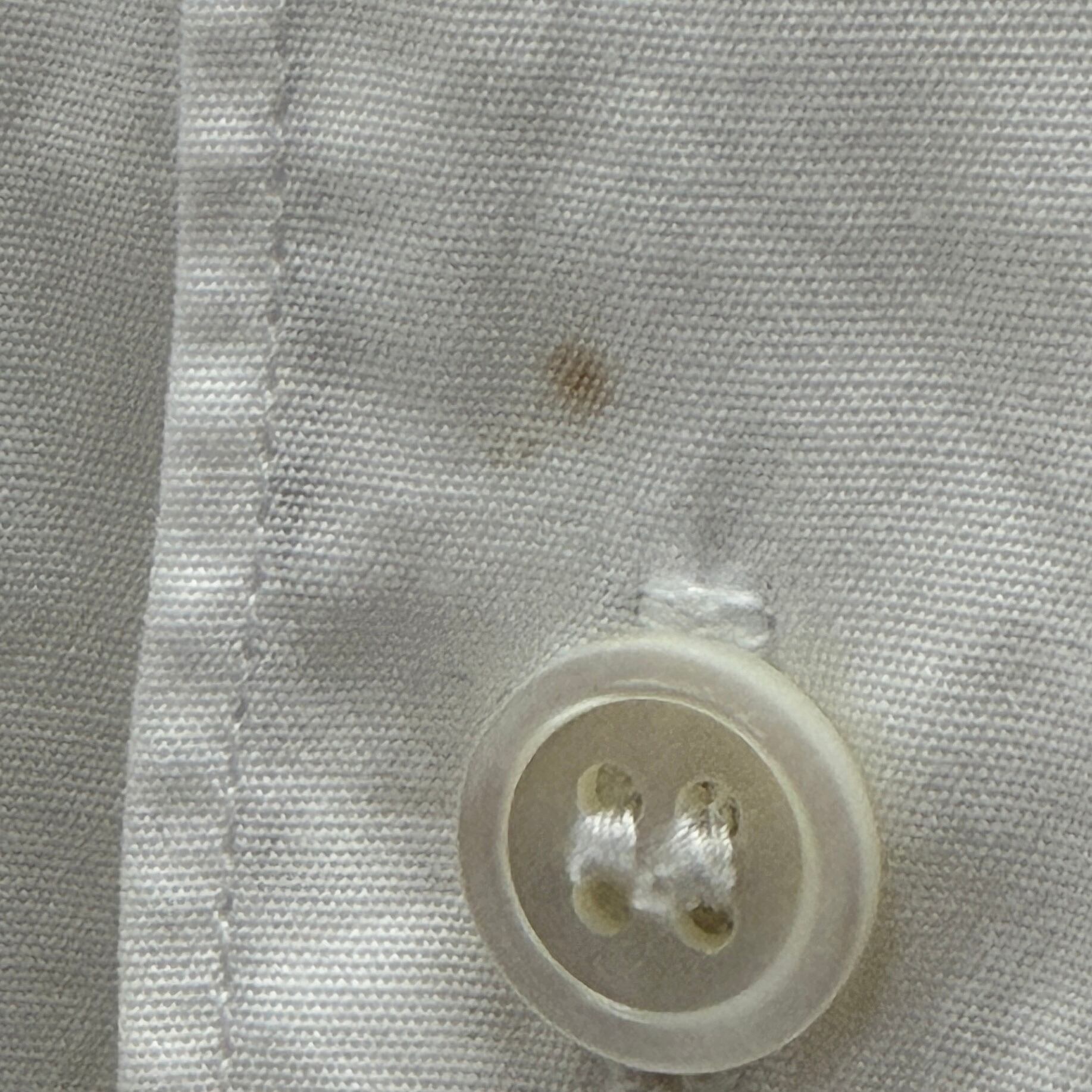 Comme des Garçons homme plus】 shirt コムデギャルソンオムプリュス