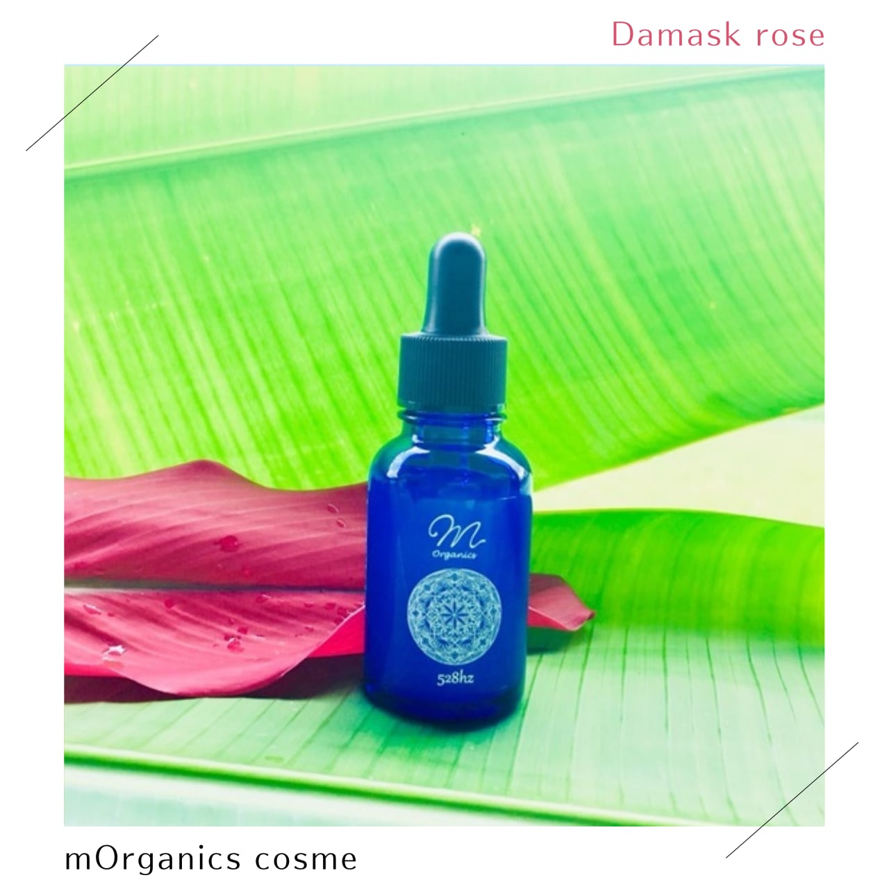美容液 Rose ローズ美容液 エムオーガニクス | mOrganics