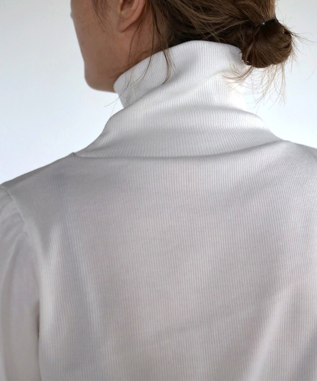 袖オーガンジーリブニットソー