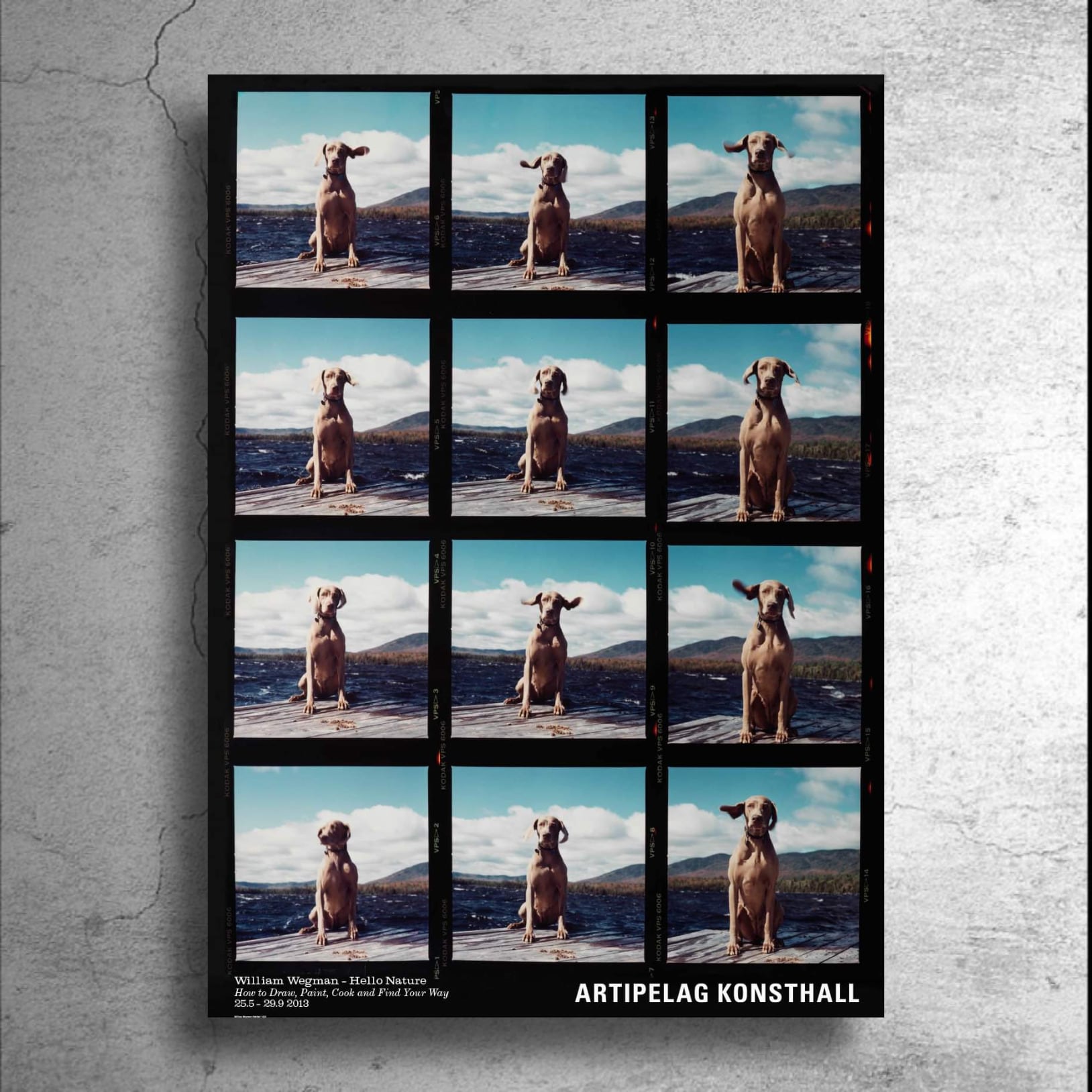 写真家『ウィリアム・ウェグマン』スウェーデン現代美術館制作ポスター