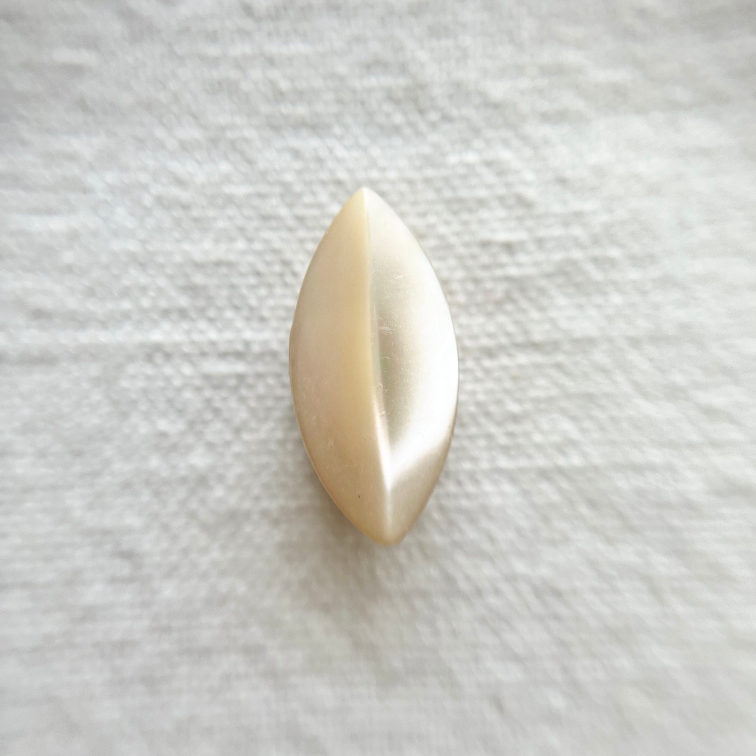 高瀬貝シャープオーバル 20㎜