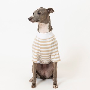 ボーダーTシャツ　beige / イタグレ服