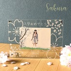 お名前入り卒業・卒園・入園・入学フォトフレーム　桜模様　　Ｆ15-1430