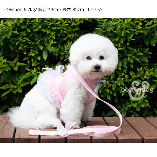 bonyndog【正規輸入】 シースルーハーネス　シャーベット 3-23212-0155