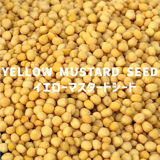 【100g】イエローマスタードシード YELLOW MUSTARD SEED Yellow Mustard Seed【シードタイプ 】【スパイス 香辛料 調味料 薬膳 料理 味付け 乾燥 ドライ】【nature ナチュール】