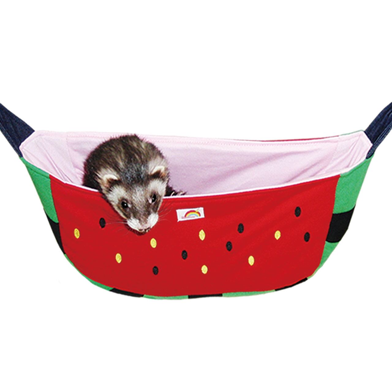 【フェレット】すいすいスイカブランコ