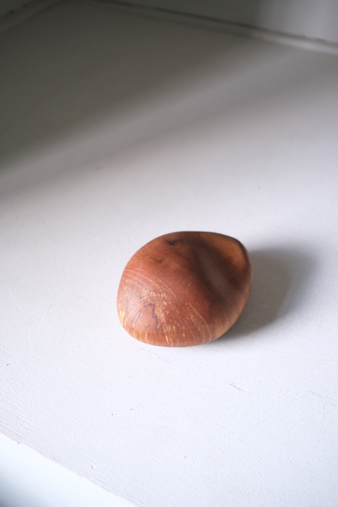 木の石 M ⑤ -タブの木-