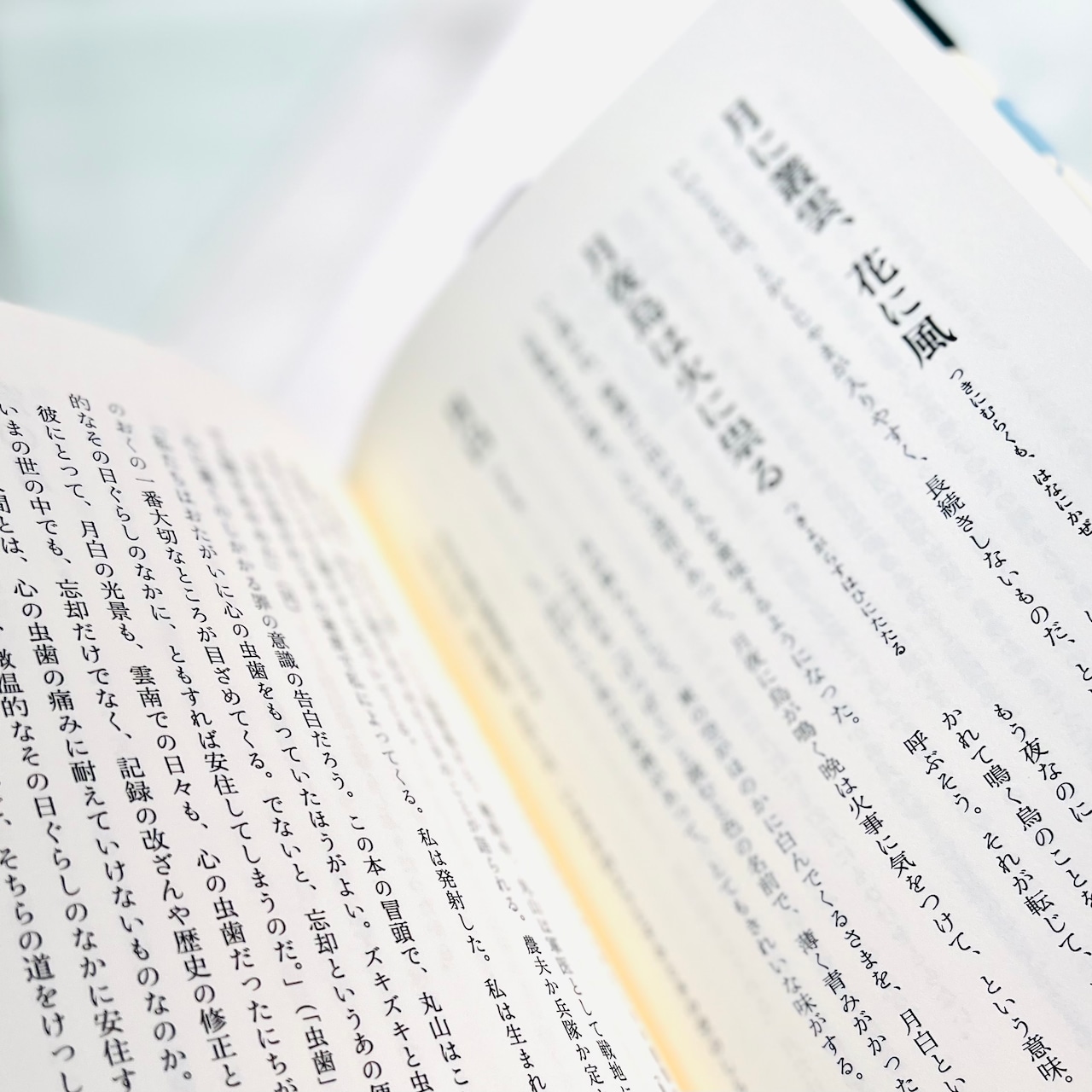 一日の言葉、一生の言葉　旧暦でめぐる美しい日本語