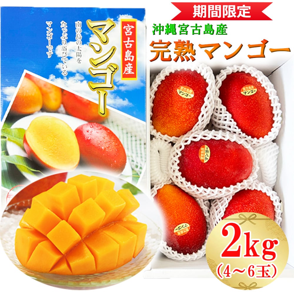 お中元 夏ギフト とろける食感!沖縄県宮古島産 朝採れもぎたて 完熟 マンゴー【 贈答用 】 2kg(4~6玉)化粧箱入り ( 沖縄 宮古島 国内最高峰 アップルマンゴー 完熟の甘い香り 濃厚で深い甘み 太陽の恵みをたっぷり受けました! ) 送料無料!日時指定も可能!