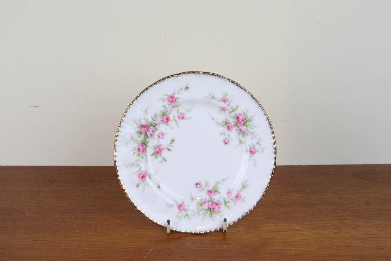 パラゴン（PARAGON） | epoca