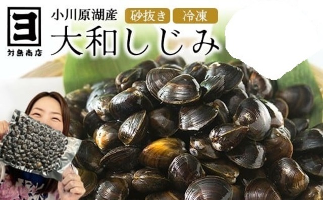 対島商店おすすめセット【送料無料】