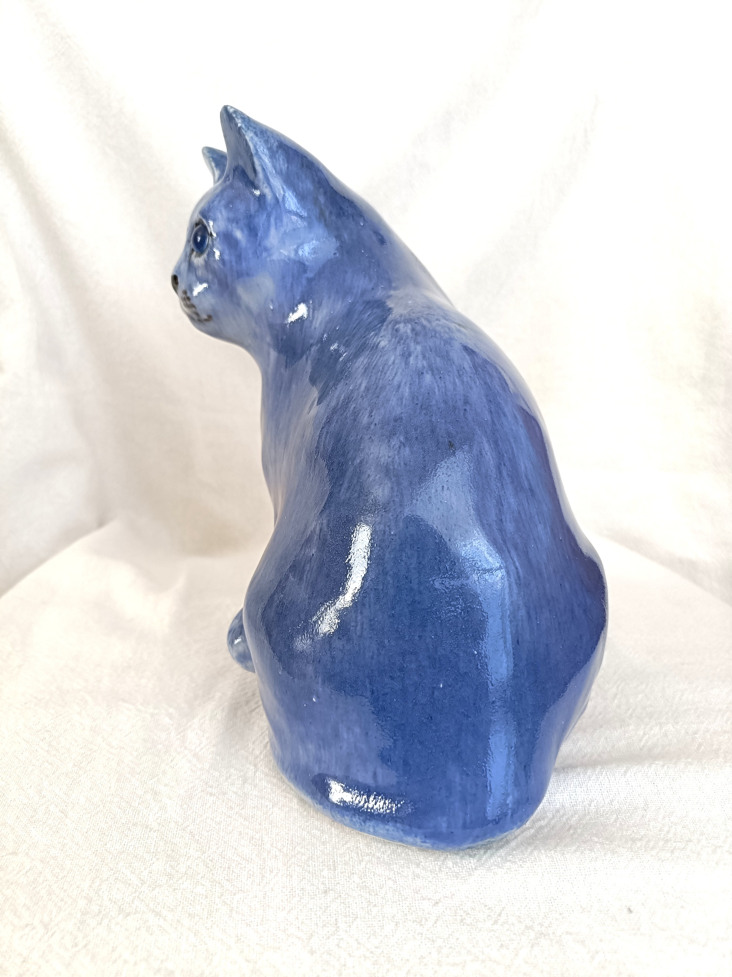 ケンジントンキャット （ウィンスタンレイキャット） ブルーキャット