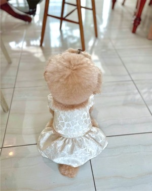 予約  【pecoramou select】 Ramblin'  Dress