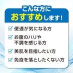 オールスターズ 乳酸菌