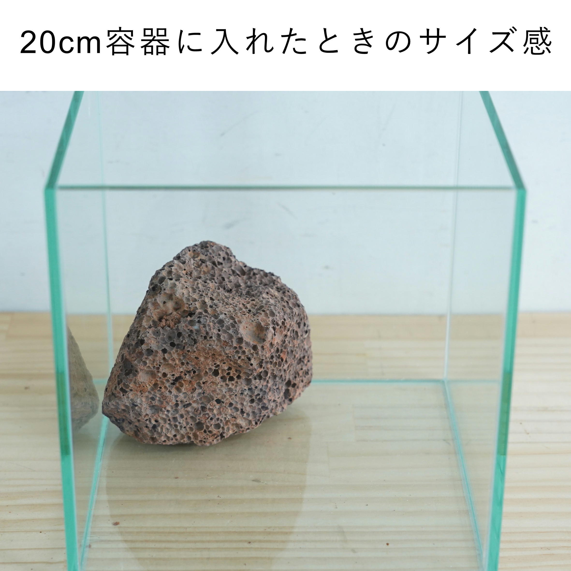 赤色溶岩石 特大 約15cm 1個入り【レイアウト用・着生用】 | 苔