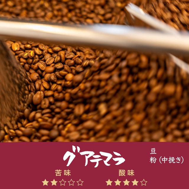 自家焙煎珈琲 グアテマラ豆（豆 or 粉・中挽き）100ｇ