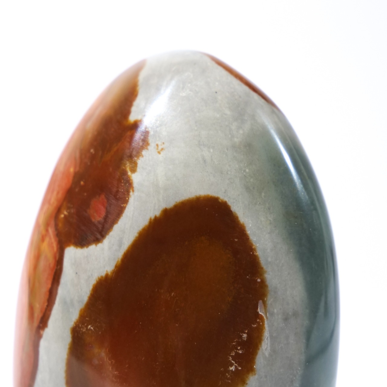 ポリクローム / フリーフォーム【5】