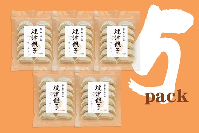 焼津”焼”餃子「12個入り×5袋」