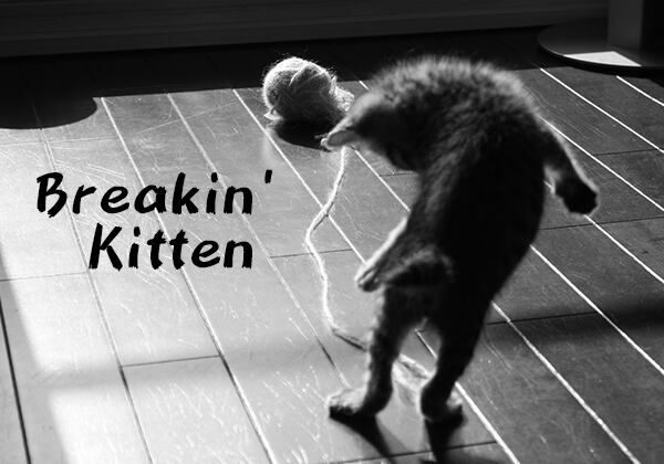 猫 ポストカード The Cat who....子猫のブレークダンス (モノクロ)10x14.8センチ(cm)官製はがきサイズ 猫写真 はがき ねこ葉書 ネコハガキ Postcard アイとちび こねこ Breakin'