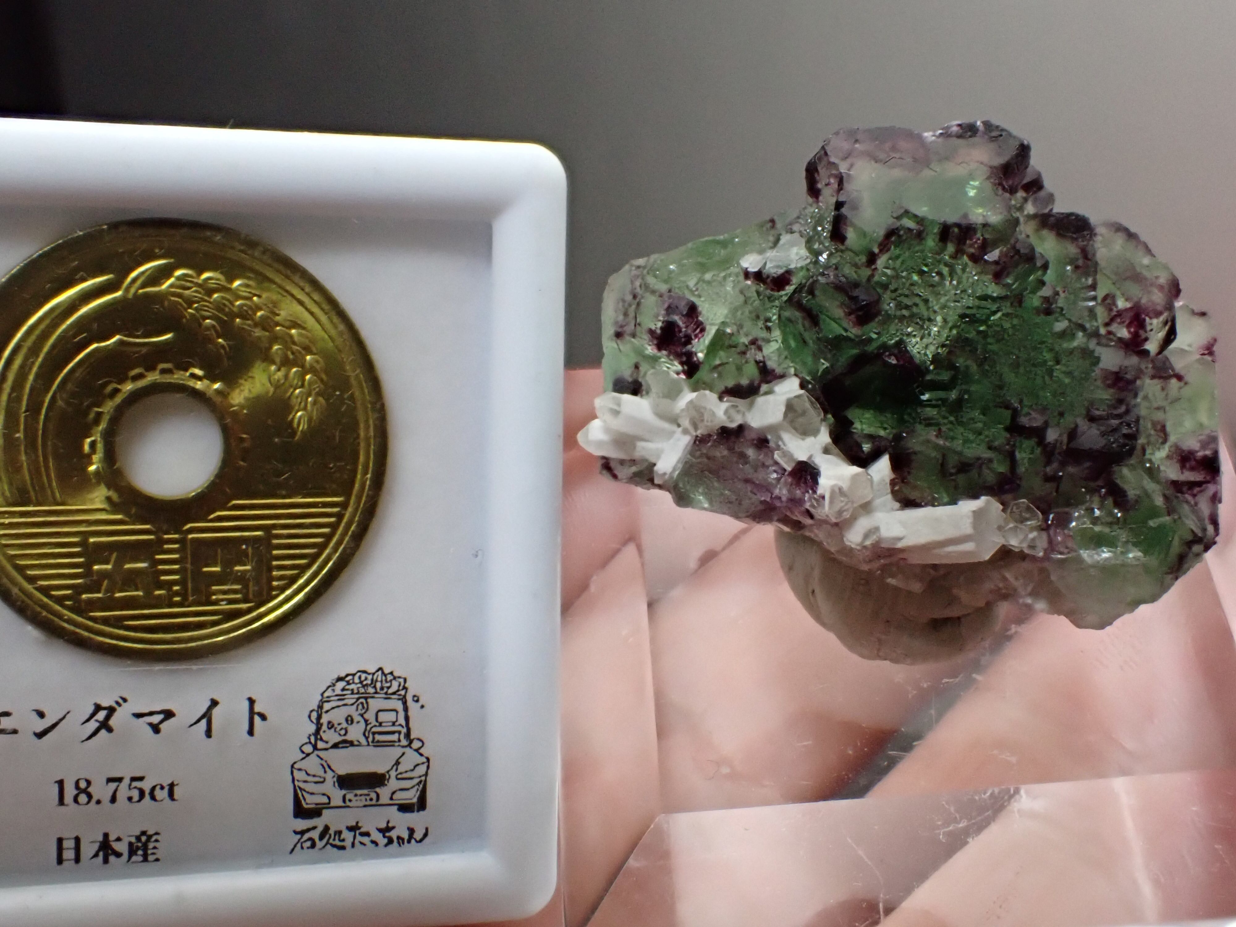 NemoPocket】フローライト 蛍石 オコルス鉱山 原石 鉱物 標本 天然石