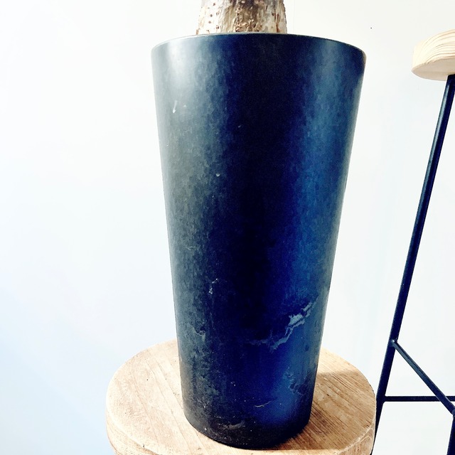 《希少》パキラ・ミルキーウェイ アートストーンポット 観葉植物 calm cafe