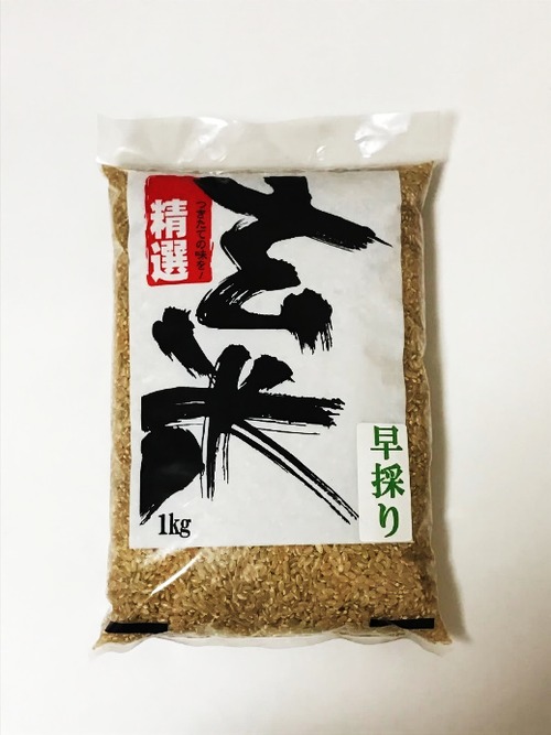 鹿児島県産玄米　早採り米1㎏